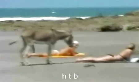 섹시한 성 golih 라일리 두 사람들을 위해,나는 생각한