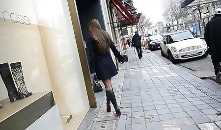 테일러는,