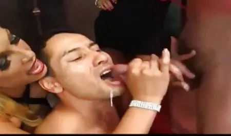 슈퍼 갈색 머리 큰 수탉 Goli divchata 르