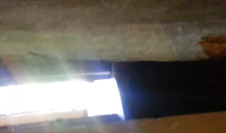 검정,사라 은행 육안 우크라이나 여성